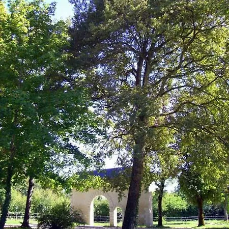 Tatil Evi Saint-avit-senieur Chateau Sleeps 8 Pool Air Con *